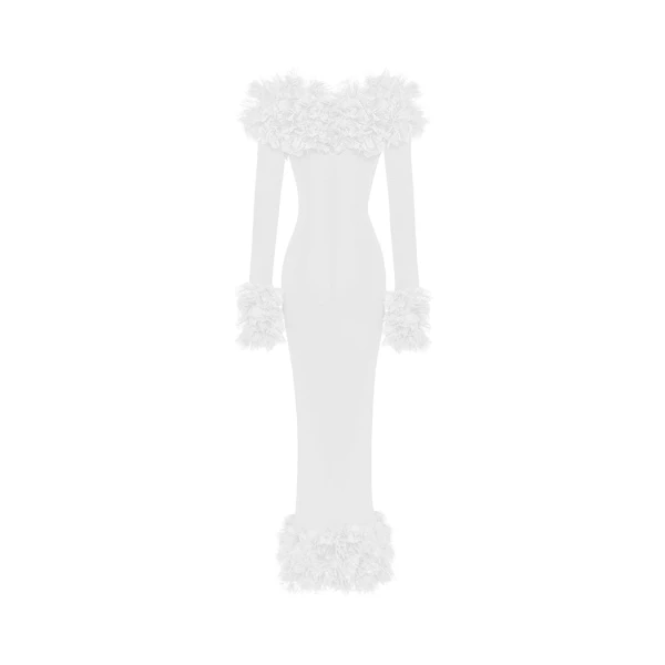 Rasario maxi dress