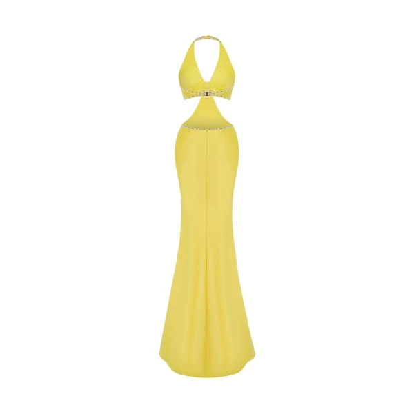 Rasario maxi dress
