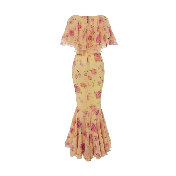 Rasario maxi dress