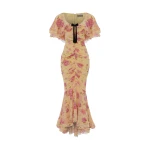 Rasario-Yellow-Printed-chiffon-maxi-dress-with-a-velvet-bow-in-Yellow-at-Coveti15079_nobg Rasario