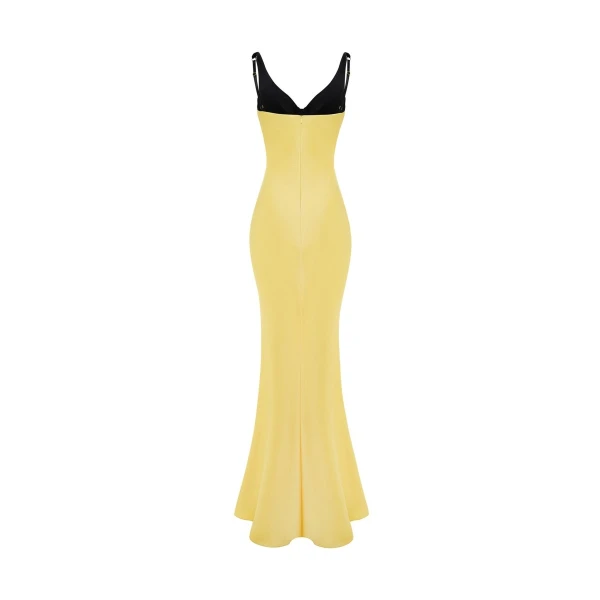 Rasario maxi dress