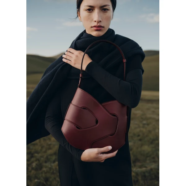 Polene Nodde Hobo in Black Cherry Bag, view 2