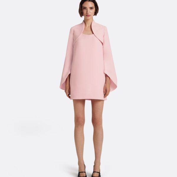 Safiyaa Fran Harness with Areli Mini Dress in Lychee - Dresses - Demi-Couture Evening Wear at Coveti