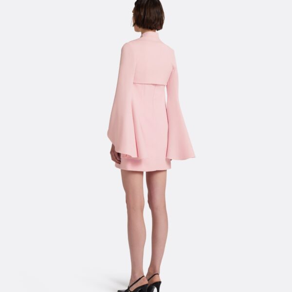 Safiyaa Fran Harness with Areli Mini Dress in Lychee - Dresses - Demi-Couture Evening Wear at Coveti