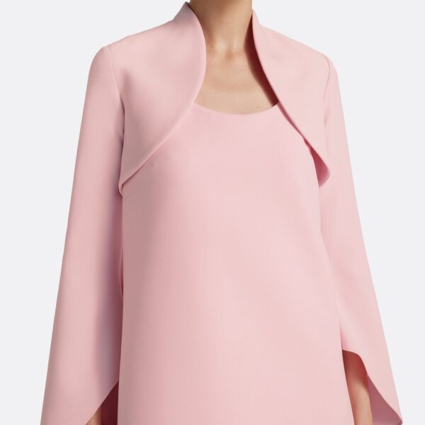 Safiyaa Fran Harness with Areli Mini Dress in Lychee - Dresses - Demi-Couture Evening Wear at Coveti