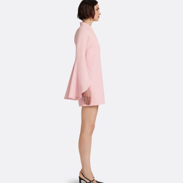 Safiyaa Fran Harness with Areli Mini Dress in Lychee - Dresses - Demi-Couture Evening Wear at Coveti