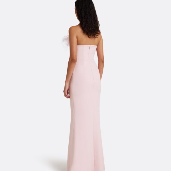 Safiyaa Soshin Long Dress in Lychee with Feathers - Dresses - Demi-Couture Evening Wear at Coveti
