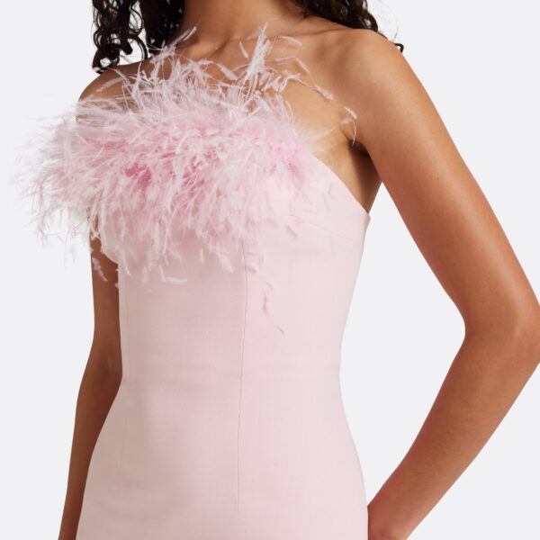 Safiyaa Soshin Long Dress in Lychee with Feathers - Dresses - Demi-Couture Evening Wear at Coveti