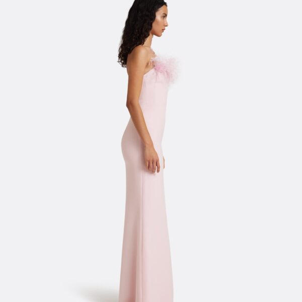 Safiyaa Soshin Long Dress in Lychee with Feathers - Dresses - Demi-Couture Evening Wear at Coveti