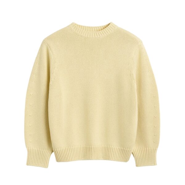 Totême Oversized crew knit in Buttercup - Knitwear - Scandinavian Minimalist Luxury at Coveti