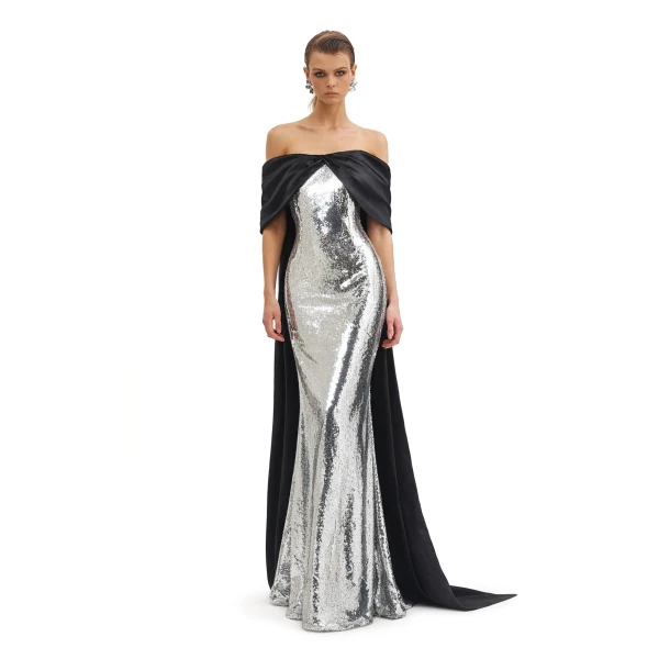 Silver gown