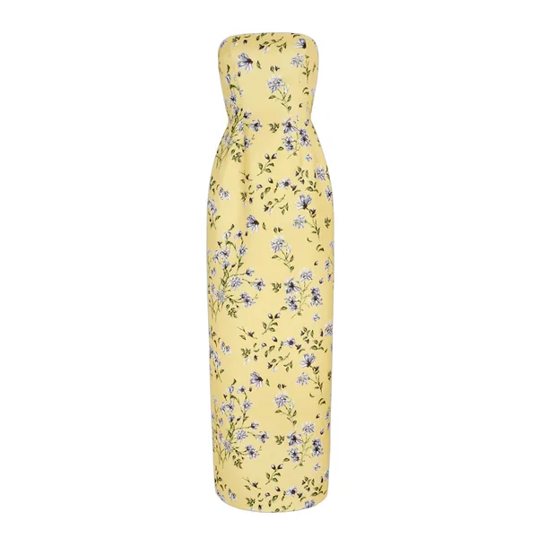 Emilia Wickstead dress