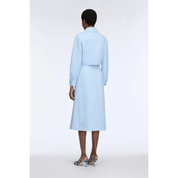 buy Emilia Wickstead skirt