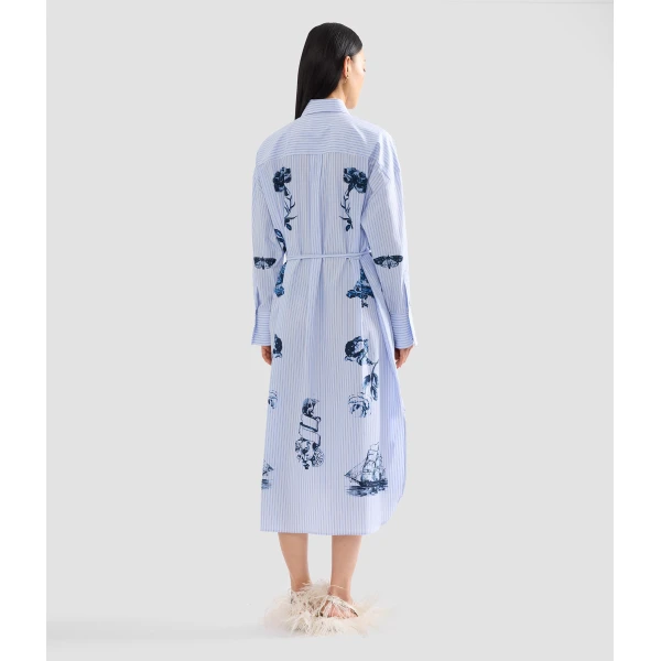 Erdem Stripe Poplin Long Sleeve Midi Shirt Dress - Dresses - British Romantic Luxury at Coveti