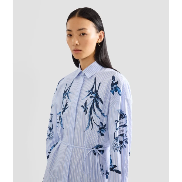 Erdem Stripe Poplin Long Sleeve Midi Shirt Dress - Dresses - British Romantic Luxury at Coveti