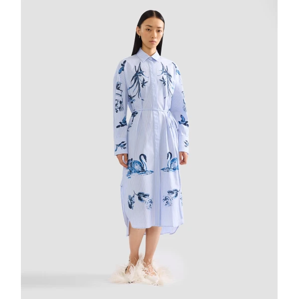 Erdem Stripe Poplin Long Sleeve Midi Shirt Dress - Dresses - British Romantic Luxury at Coveti