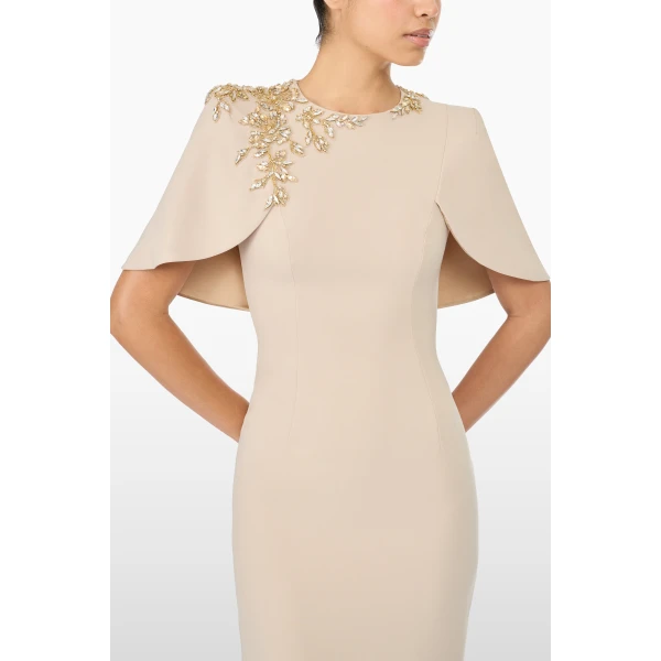 embellished evening gown