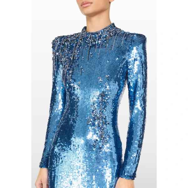 embellished evening gown