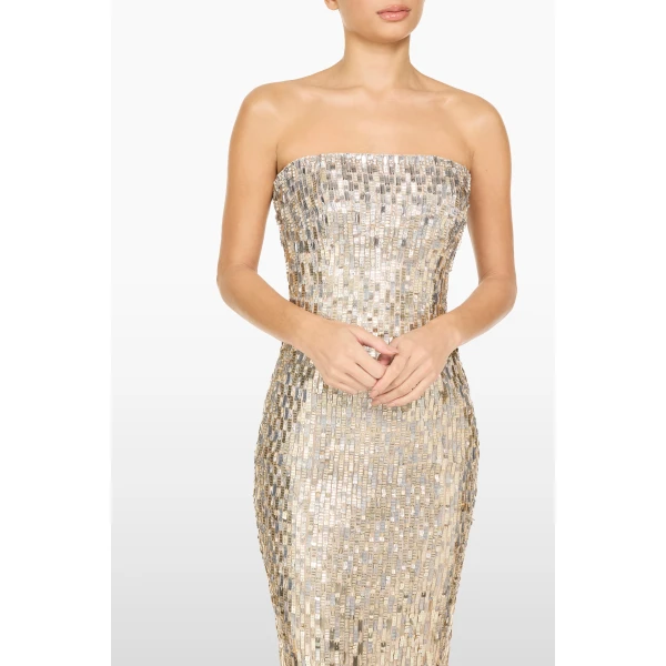 embellished evening gown