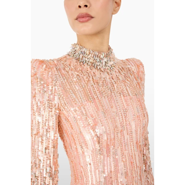 embellished evening gown