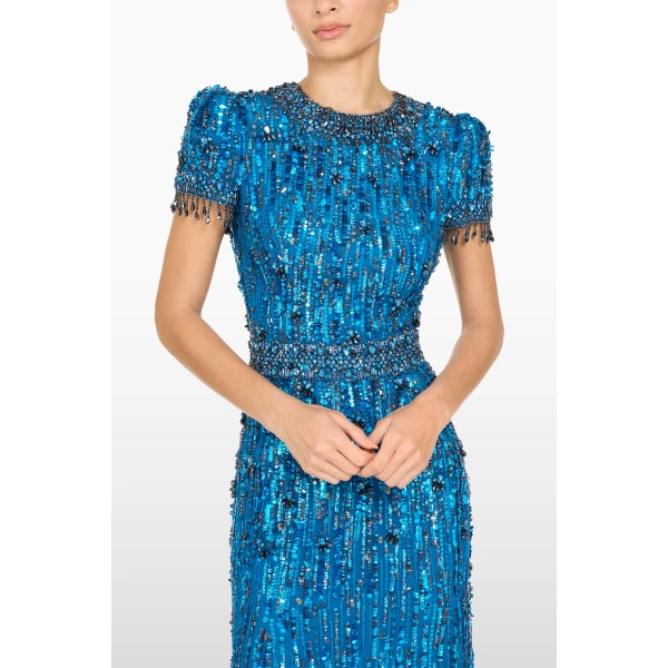 embellished evening gown