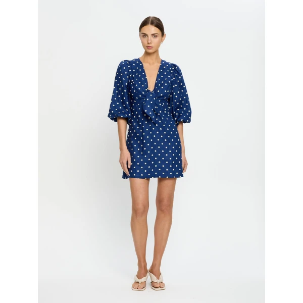 Lily Mini Dress