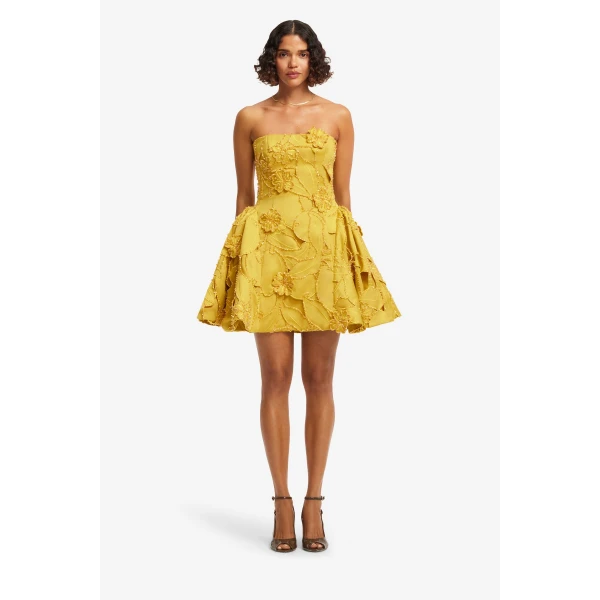 Lena Embellished Bustier Mini Dress