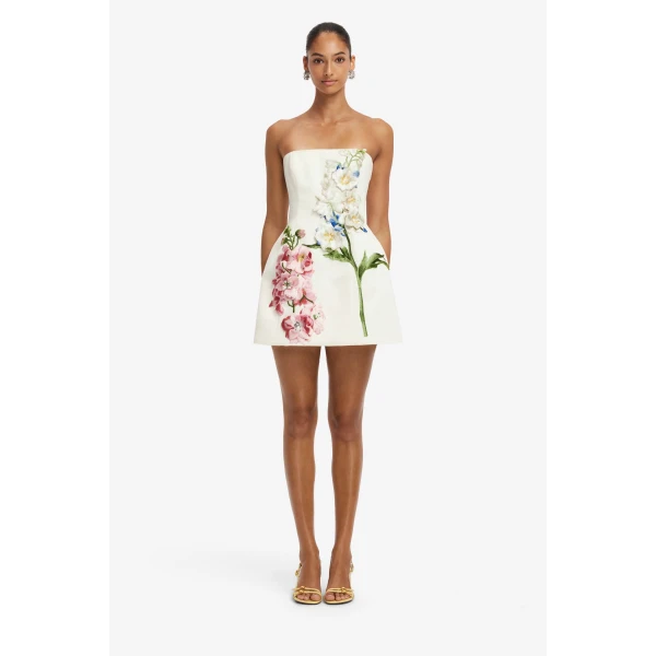 Roselle Embroidered Bustier Mini Dress