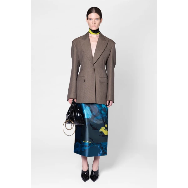 roksanda irma skirt