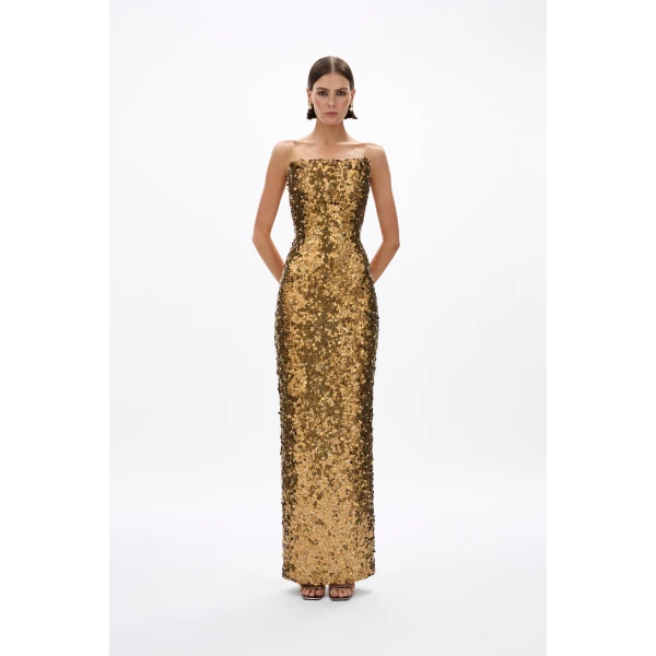 Rachel Gilbert gown