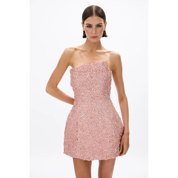 Rosewater dress