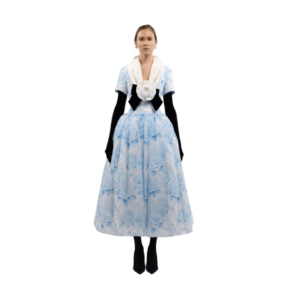 Richard Quinn midi dress