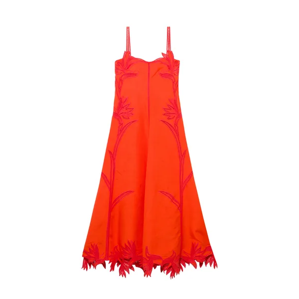 SIMKHAI Ellery Embroidered Bustier Midi Dress