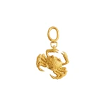 schiaparelli cancer charm
