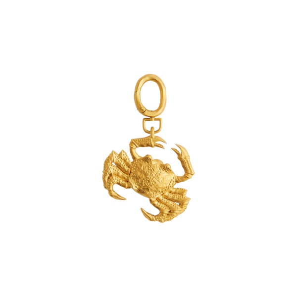 schiaparelli cancer charm