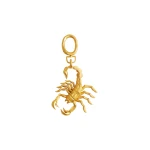 schiaparelli scorpio charm
