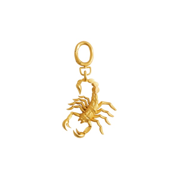 schiaparelli scorpio charm