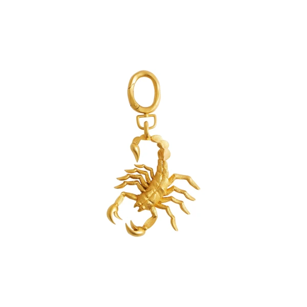 schiaparelli scorpio charm