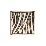 schiaparelli silk scarf brushes