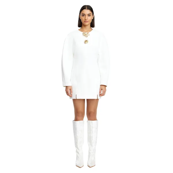 Acler Brotton Mini Dress