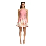 Acler Carryon Mini Dress