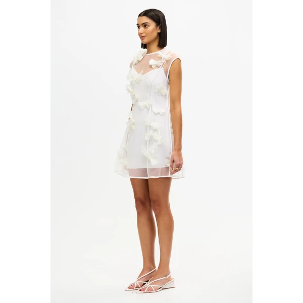 Acler Dresses