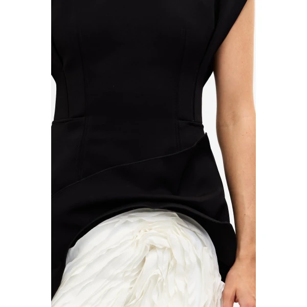 Acler Droxford Mini Dress in Black & Ivory, view 4