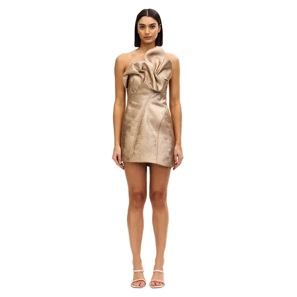 Acler Finwood Mini Dress