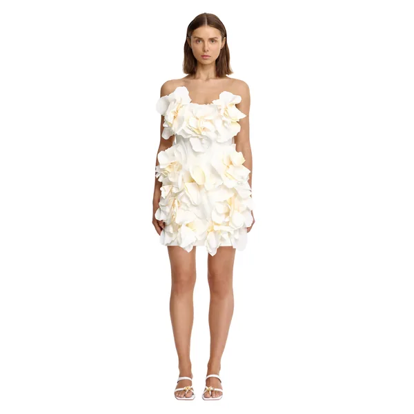 Acler Jackhill Mini Dress
