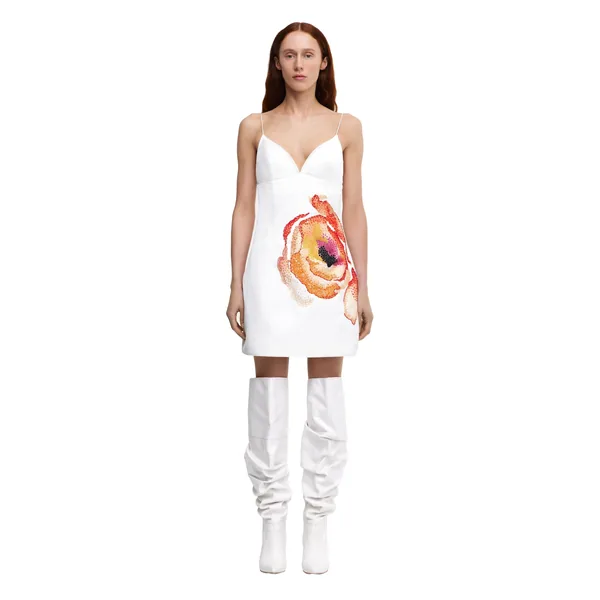 Acler Pendoylan Mini Dress