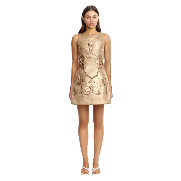 Acler Raffin Mini Dress
