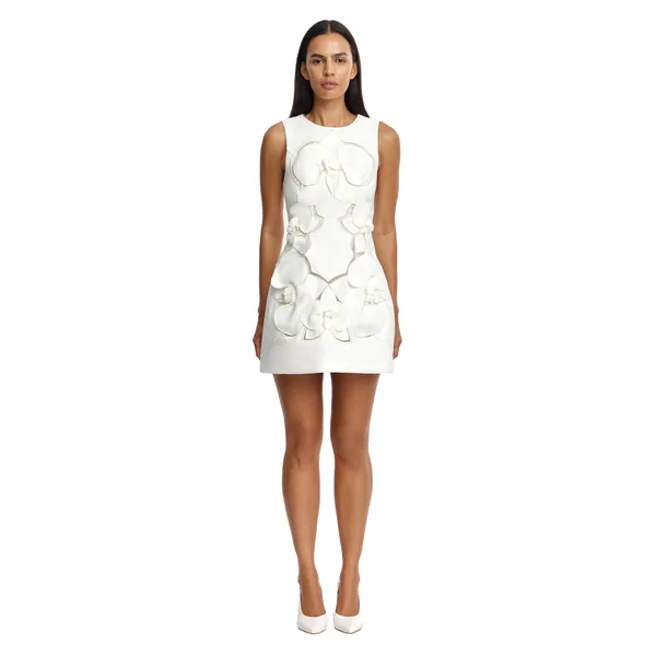 Acler Raffin Mini Dress