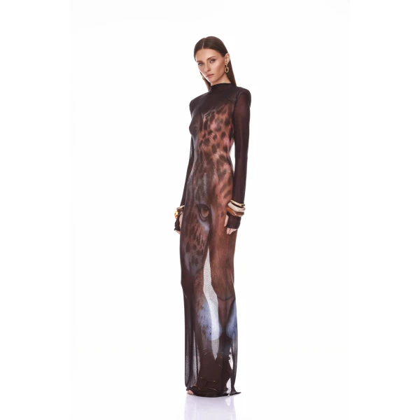 Leopard Long Sleeve Sheer Mesh Maxi Dress