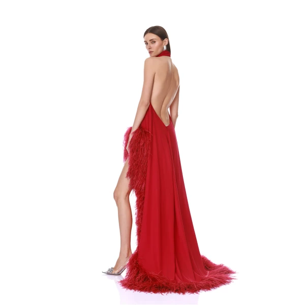 Red evening gown